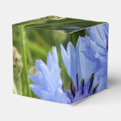 Ballotins bleuet bleu (Arrière)