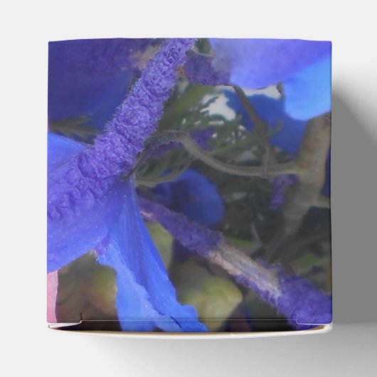 Ballotins Bodichon (Haut)