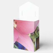 Ballotins Bodichon (Ouvert)