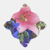 Ballotins Bodichon (Déplié)