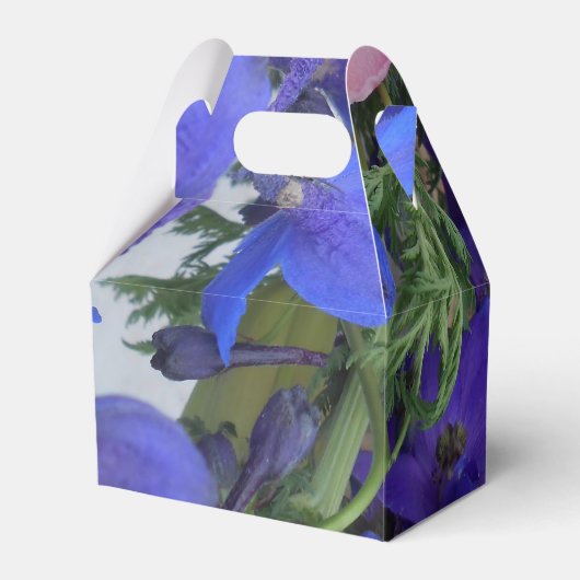 Ballotins Bodichon (Arrière)