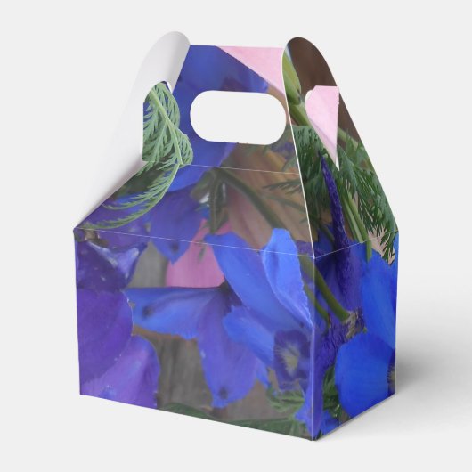 Ballotins Bodichon (Verso)