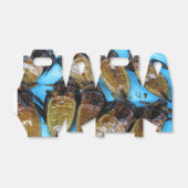 Ballotins Bogue d'eau géante frite (Maeng Daa) ... Alimentat (Déplié)