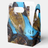 Ballotins Bogue d'eau géante frite (Maeng Daa) ... Alimentat (Ouvert)