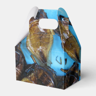 Ballotins Bogue d'eau géante frite (Maeng Daa) ... Alimentat