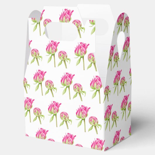 Ballotins Boîte à Faveurs Espoir sur un Pignon (Ouvert)