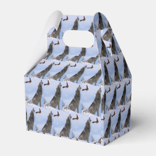 Ballotins Boîte à faveurs Gable