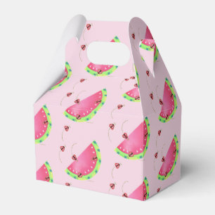 Ballotins Boîte à pâte de pastèque de Ladybug