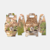 Ballotins Boîte cadeau Alpaca (Déplié)