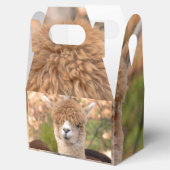 Ballotins Boîte cadeau Alpaca (Ouvert)