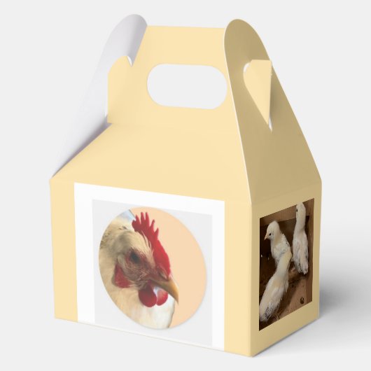 Ballotins Boîte de faveur de poussin (Verso)