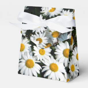 Ballotins Boîte de faveur de soleil de marguerite