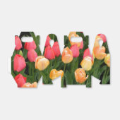 Ballotins Boîte de préférence Red & Gold Tulip Party (Déplié)