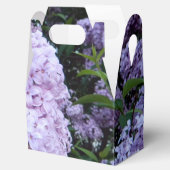 Ballotins Boîte de réception Lilacs luxuriante (Ouvert)