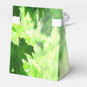 Ballotins Boîte postale feutrée (Arrière)