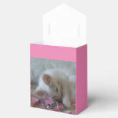 Ballotins Boîtes de faveur de chaton blanc (Ouvert)