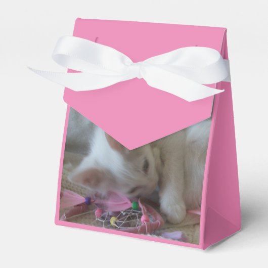 Ballotins Boîtes de faveur de chaton blanc (Verso)