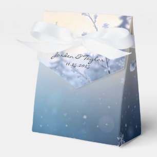 Ballotins Boîtes de Faveur de Mariage Rêve d'Hiver Doux