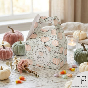 Ballotins Boîtes de faveurs de baby shower de petite citroui