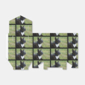 Ballotins Boston Terrier (Déplié)