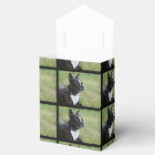 Ballotins Boston Terrier (Ouvert)