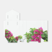 Ballotins Bougainvillées roses chaudes (Déplié)