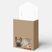 Ballotins Bouledogue français (Ouvert)