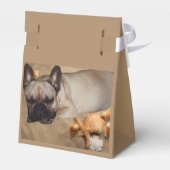 Ballotins Bouledogue français (Arrière)