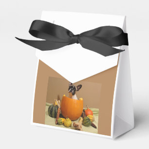 Ballotins Bouledogue français Halloween French Bulldog