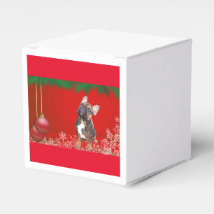 Ballotins Bouledogue français Noël Bouledogue français