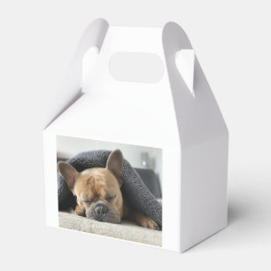 Ballotins bouledogue français sous la couverture