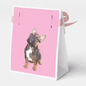 Ballotins Bouledogue français Stars Bulldog français (Arrière)