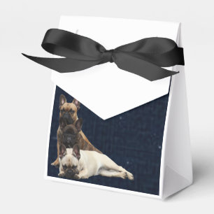 Ballotins Bouledogue français Sterne French Bulldog