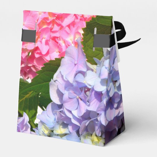 Ballotins Bouquet Hydrangea (Arrière)