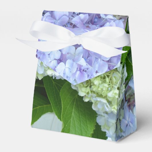 Ballotins Bouquet Hydrangea (Verso)