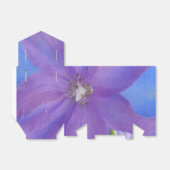 Ballotins Bowen (Déplié)