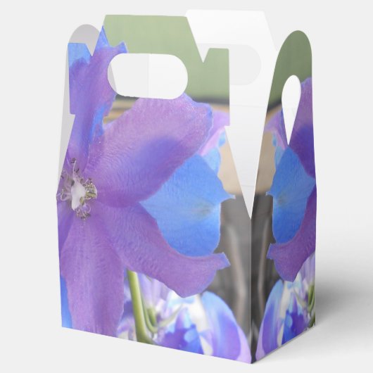 Ballotins Bowen (Ouvert)