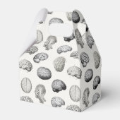 Ballotins Brain Anatomy Biology Illustrations (Arrière)