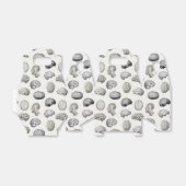 Ballotins Brain Anatomy Biology Illustrations (Déplié)