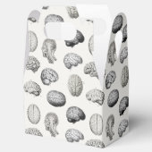 Ballotins Brain Anatomy Biology Illustrations (Ouvert)