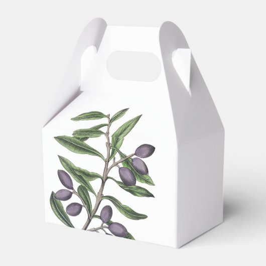 Ballotins Branche de l'arbre d'olive | Vert pourpre (Arrière)