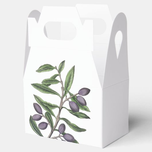 Ballotins Branche de l'arbre d'olive | Vert pourpre (Ouvert)