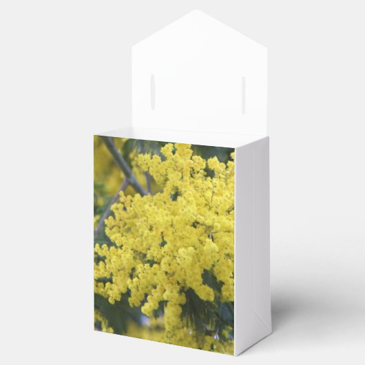 Ballotins Branche de mimosa (Ouvert)