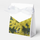 Ballotins Branche de mimosa (Verso)