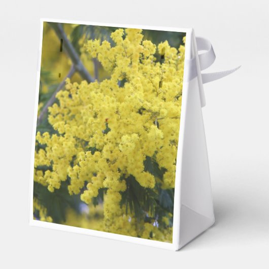 Ballotins Branche de mimosa (Arrière)