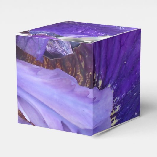 Ballotins Brandeis (Verso)