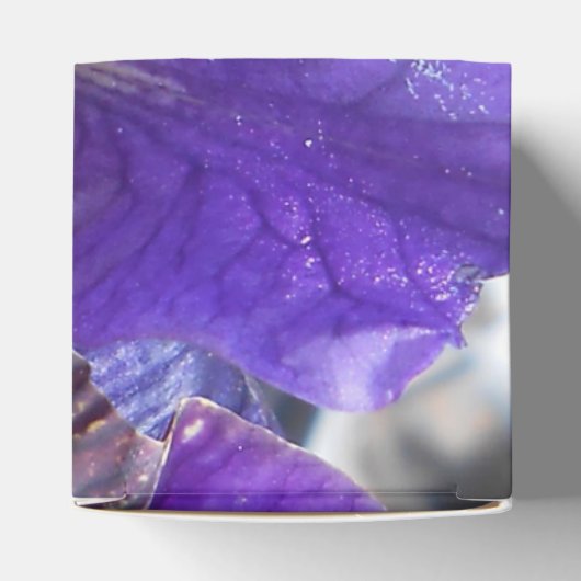 Ballotins Brandeis (Haut)