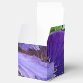 Ballotins Brandeis (Ouvert)