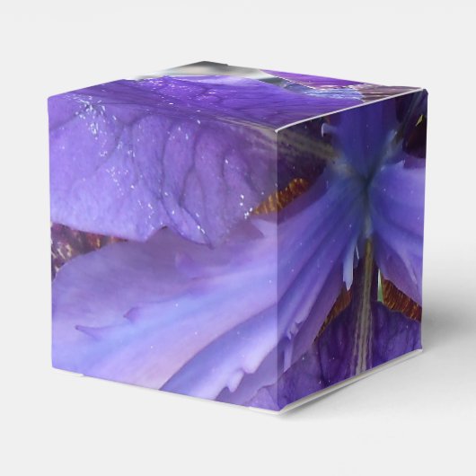 Ballotins Brandeis (Arrière)