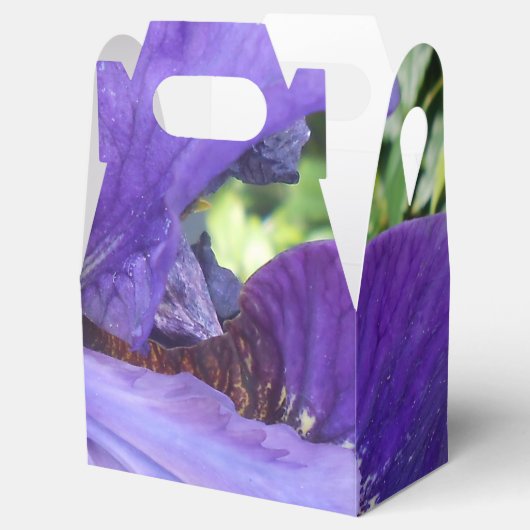 Ballotins Brandeis (Ouvert)